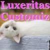 ルクセリタス　カスタマイズ Luxeritas